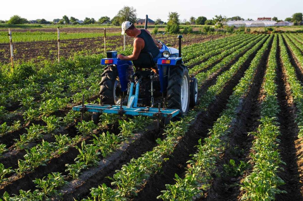 Un homme conduisant un tracteur et cultivant des pommes de terre