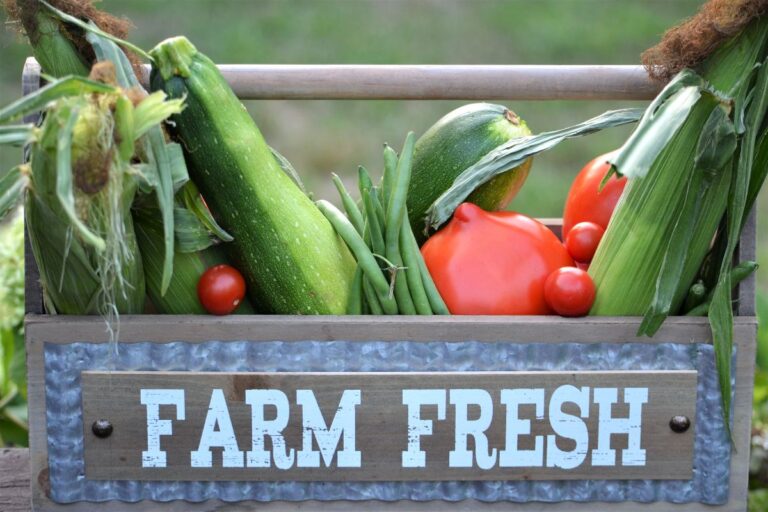 Des légumes frais de la ferme aliments sains